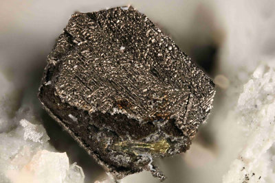 Famatinite on Chalcopyrite