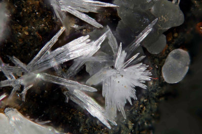 Aragonite - Calcite