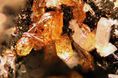 Nealite