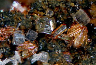 Nealite and Phosgenite