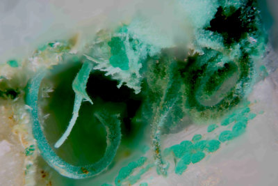 Malachite