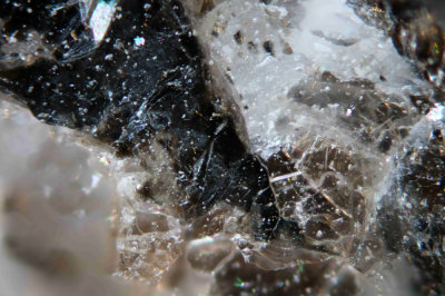 Unknown Mica?