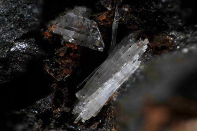 Gypsum and Paralaurionite