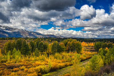 Grand Teton NP 10 Jackson Lake Lodge