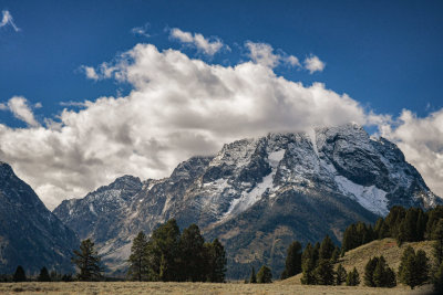 Grand Teton NP 16 Mt. Moran