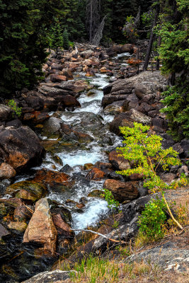 Yellowstone Creek Flow