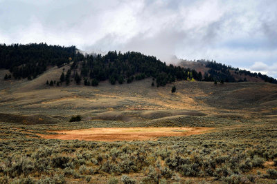 Hayden Valley 03