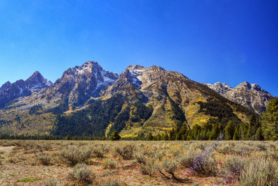 Grand Teton NP 20