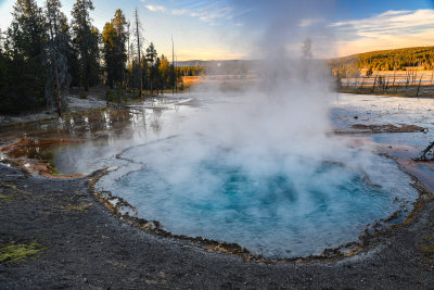 Yellowstone - West Thumb Area 8