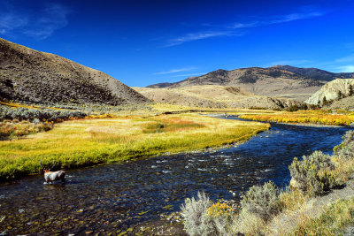 Yellowstone River