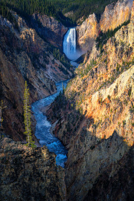 Yellowstone - Canyon Area 01