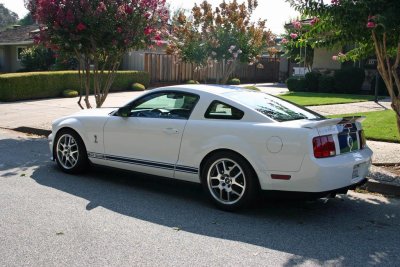 mustang.jpg