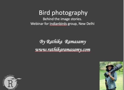 Webinar@Indian bird groups