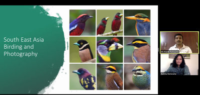 South Asian birds,habitats and Bird Photography