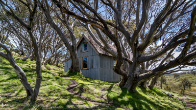 Cope Hut 0577