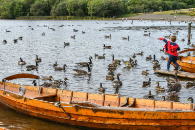 Derwentwater