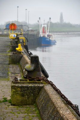 Kings Lynn