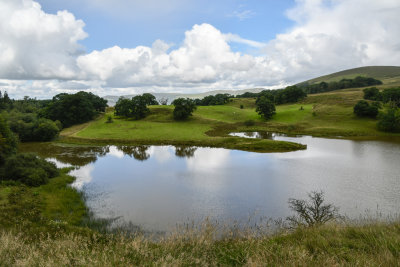 Morton Loch