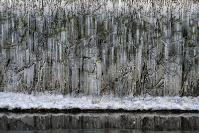 Ice Hedge