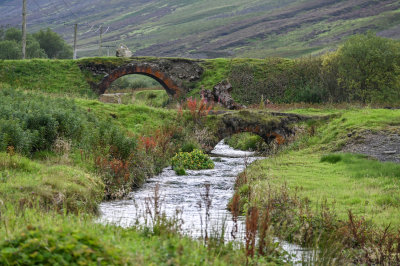 Tributary to the River Clyde