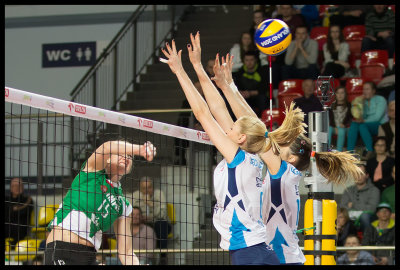 g12/87/729587/3/169086564.u6s1s83D.jpg