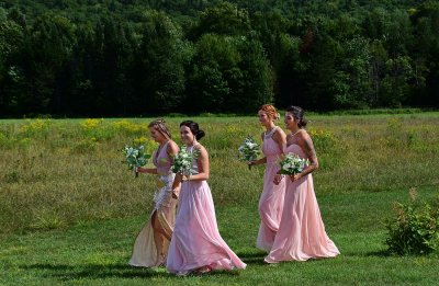 The four brides maids 