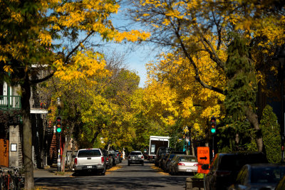 Rue Duluth 