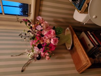 20190523_201526.jpg