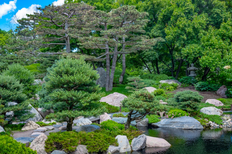 Poem, Walking in a Japanese Garden