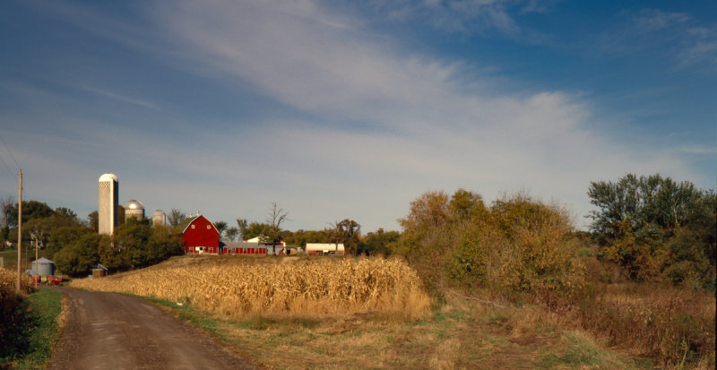 A Minnesota Farm