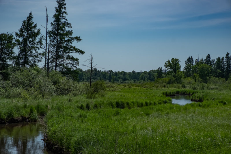 Cedar Creek