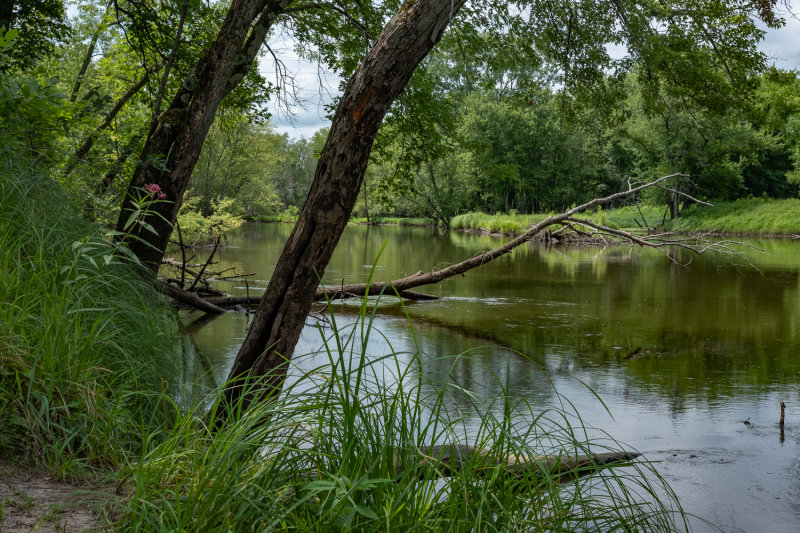 A Quiet Day On The Rum River