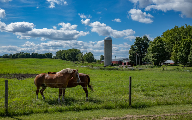 Just A Country summer Scene