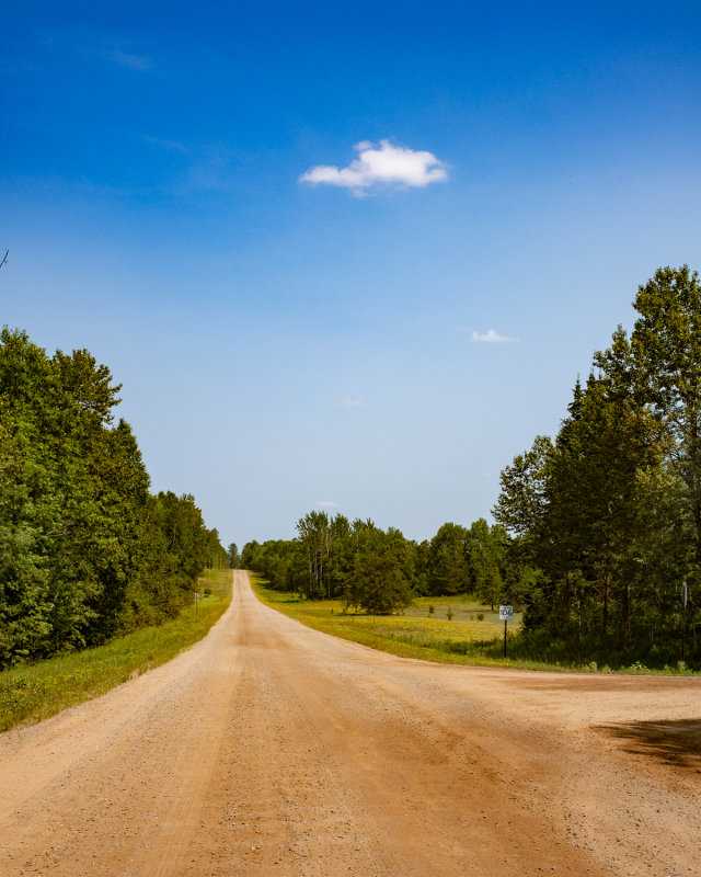 Dirt Road Blues