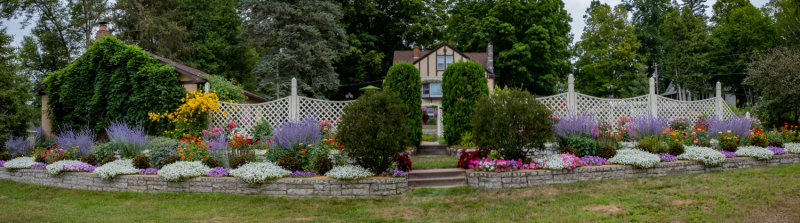 Flowers in Front