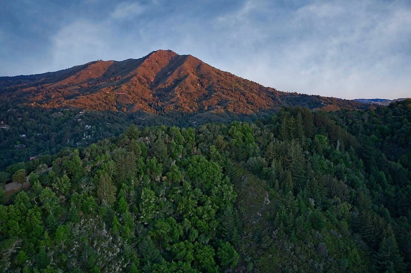 DJI_0280.jpg