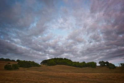 _DSC5730.jpg