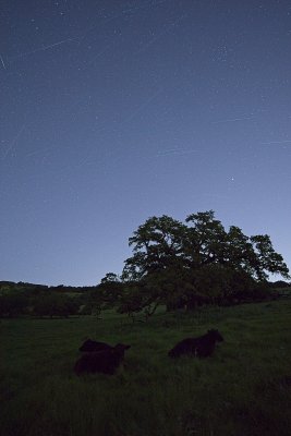 Meteor shower 2019 composite.jpg