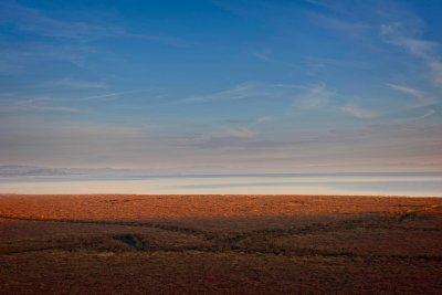 _DSC6581.jpg