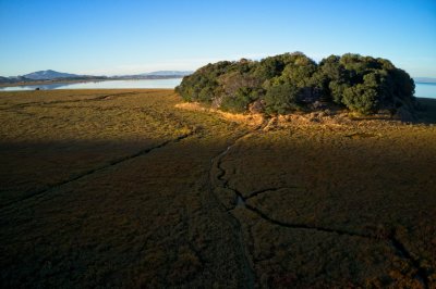 DJI_0068.jpg