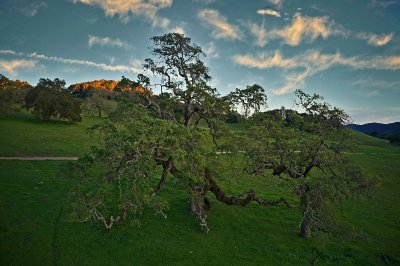DJI_0150_Export 1.jpg
