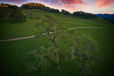 DJI_0152_Export 1.jpg
