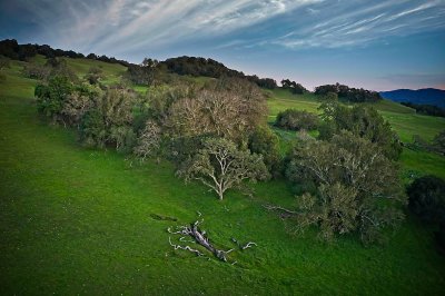 DJI_0161_Export 1.jpg