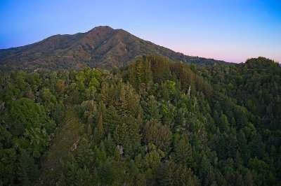 DJI_0271.jpg