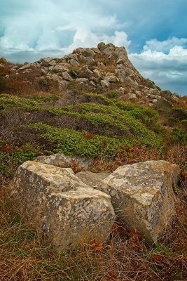 _DSC8048.jpg