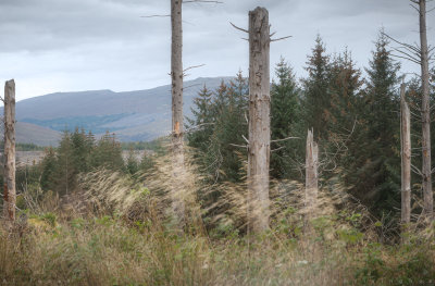 Scotland and its Isles