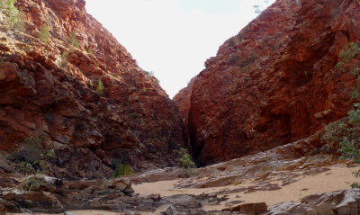Redbank Gorge, West MacDonnell Ranges, NT