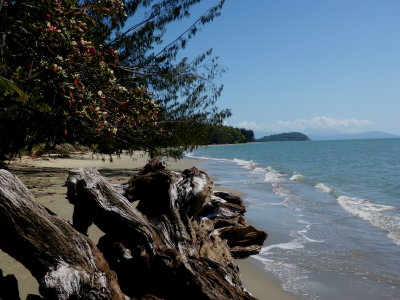 Four Mile Beach, Port Douglas, FNQ