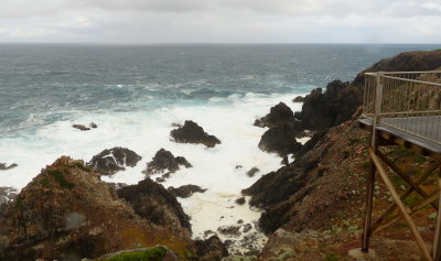 Seal Rocks, King Island