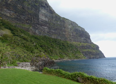 base of Mt Lidgbird from Little Island track, Lord Howe Island, NSW